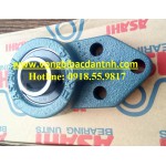 VÒNG BI FK204-UCFK204-FB204-UCFB204